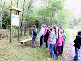 Sprzątanie Świata 2014 - podsumowanie (43)